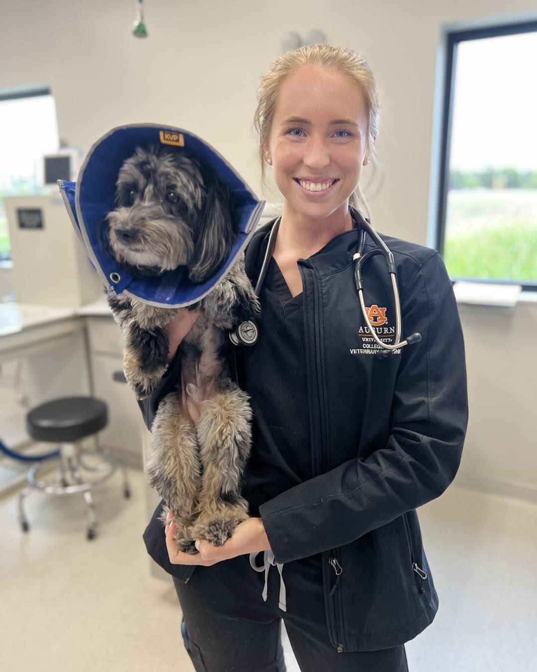 Veterinarian holding a small dog wearing a recovery cone after surgery